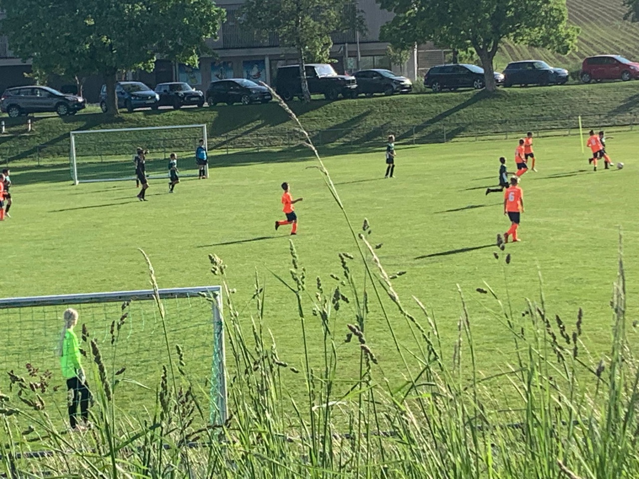 WhatsApp Image 2025-05-15 at 18.47.46