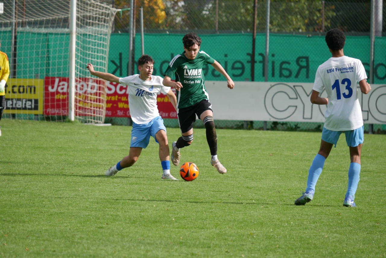 WhatsApp Image 2025-10-11 at 18.43.06(4)