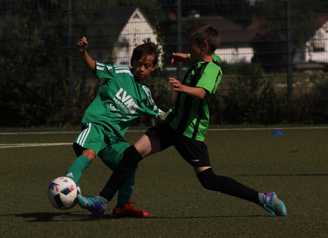 082210_b30db656f28142e69832749a88bb2aef~mv2.jpg