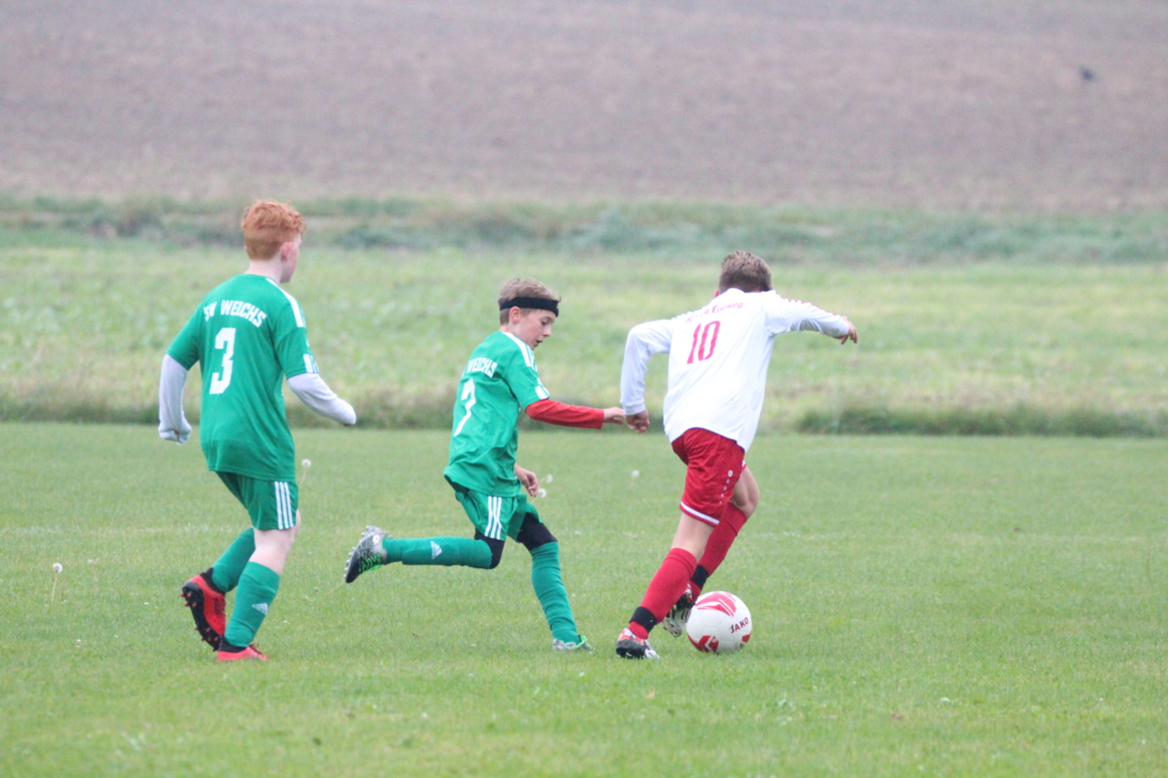 082210_891a9af17b3c43ffa2150cb72c7d940f~mv2.jpg
