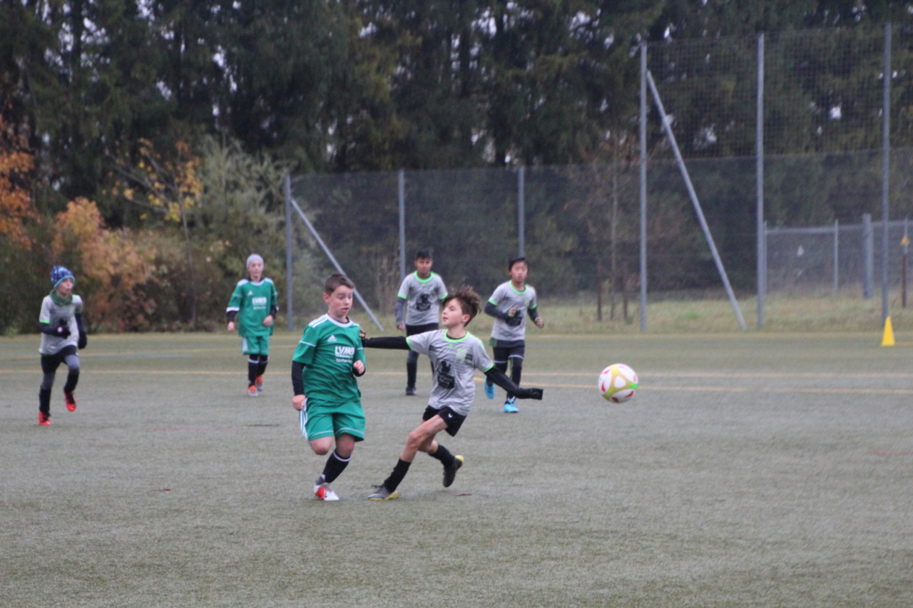 082210_4ec7dd71bcb2437081af0d338a051783~mv2.jpg